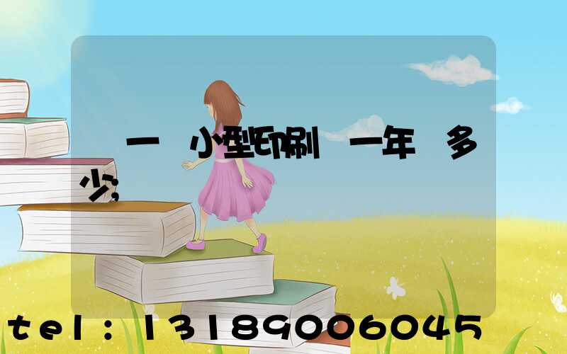 開一個小型印刷廠一年賺多少