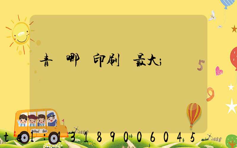 青島哪個印刷廠最大